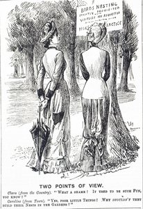 Karikatur, die das Schutzgesetz für Vögel von 1880 kommentiert