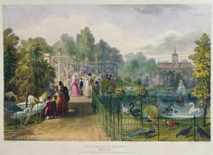Die Voliere im Zoologischen Garten, Regent