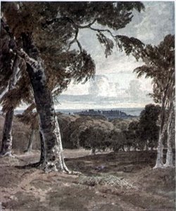 Windsor Park, mit dem Schloss in der Ferne