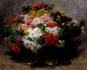 Asters multicolores