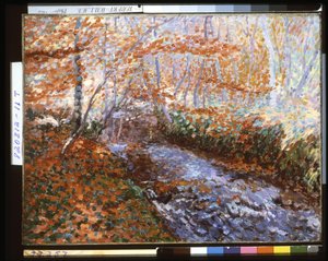 Der Briante-Fluss (Waldinneres im Herbst)
