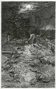 Friedhof Montmartre - Illustration aus Napoléon le Petit, 19. Jahrhundert