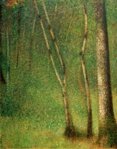 Wald in Pontaubert