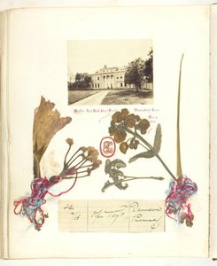 Ohne Titel [Ansicht von Broadlands mit getrockneten Blumen] von Georgina Cowper