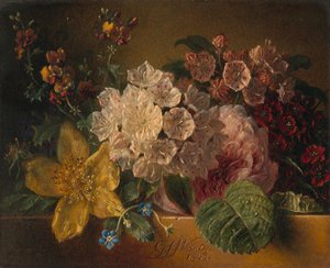 Blumen von Georgius Jacobus Johannes van Os