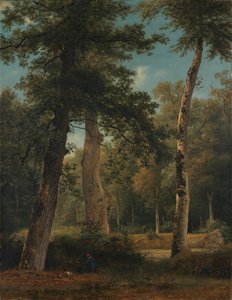 Ein Wald in Fontainebleau von Georgius Jacobus Johannes van Os