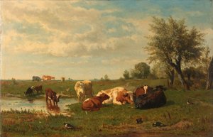 Kühe auf der Wiese