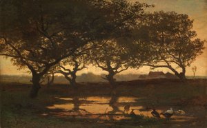 Waldteich bei Sonnenuntergang von Gerard Bilders