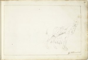 Pferd, nach rechts von Gerard ter Borch (II) (signed by artist)