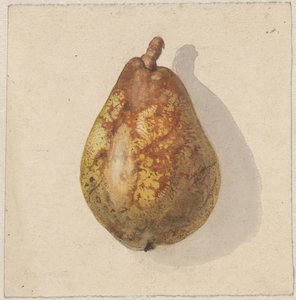 Birne von Gerardina Jacoba van de Sande Bakhuyzen