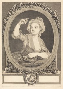 Die Pflaumen