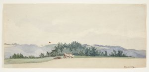 Hügelige Landschaft mit Kühen von Gerda Henning