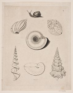 Tafel mit Schnecken