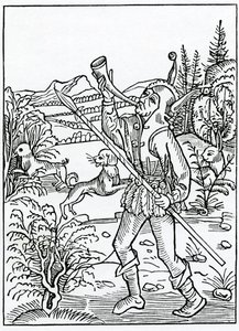 Lapplandische Milchwicke Oxytropis Lapponica