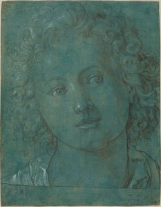 Kopf eines Jungen von German 16th Century after Albrecht Dürer
