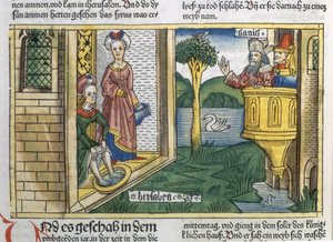 David sieht Bathseba baden, aus der Nürnberger Bibel (Biblia Sacra Germanaica) von German School