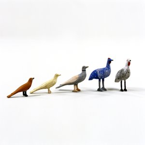 5 Vögel aus einer Arche Noah, ca. 1840 von German School