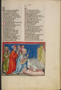 Aarons blühender Stab aus Weltchronik Ms. 33, fol. 101, um 1400-10 von German School
