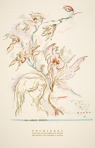 Werbung Orchideen aus dem Hause Hermann Roth, aus Styl, veröffentlicht 1922 von German School