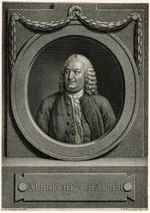 Albrecht von Haller von German School