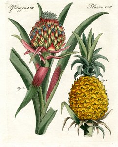 Alle Arten der Kristallisation