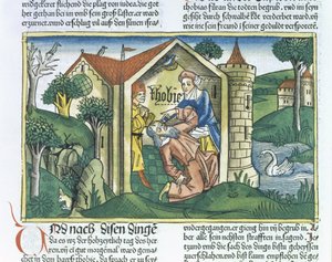 Apokryphen: Tobit wird von Spatzenkot geblendet, aus der Nürnberger Bibel (Biblia Sacra Germanaica) von German School