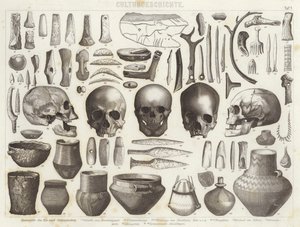 Artefakte aus der Eis- und Steinzeit. Illustration für Bilder-Atlas
