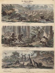 Australien von German School