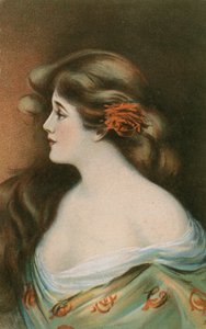 Schönheit mit langen braunen Haaren von German School