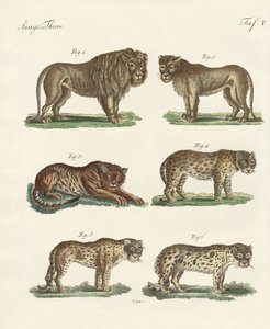 Beißende Tiere