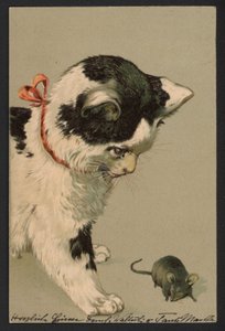 Katze spielt mit einer Maus von German School