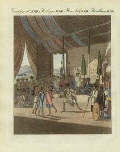 Cochin-chinesische Oper