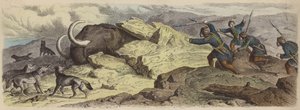 Entdeckung des Körpers eines Wollmammuts in Sibirien