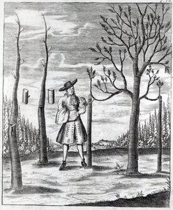 Gartenarbeit und Pflanzenkrankheiten, eine Illustration aus 