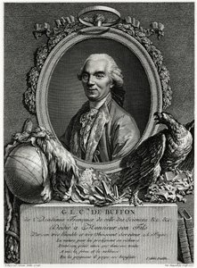 George Louis Leclerc Comte de Buffon