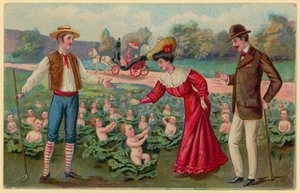 Babys aus Kohlköpfen wachsen lassen von German School
