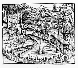 Glückliche Bauern, die Bienen pflegen, Illustration aus den Georgica von Virgil, Buch IV, aus der Ausgabe von Sebastian Brant (1457-1521), veröffentlicht 1502