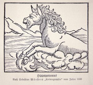 Nilpferd aus Sebastien Münsters 