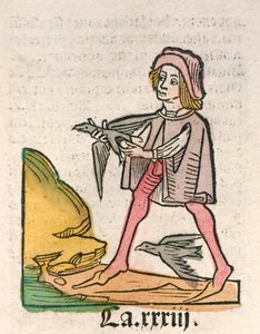 Hortus Sanitatis [Der Garten der Gesundheit] von Jacob Meydenbach, veröffentlicht 1491
