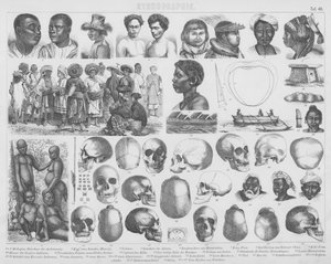 Illustration für Bilder-Atlas: Rassen und Schädel