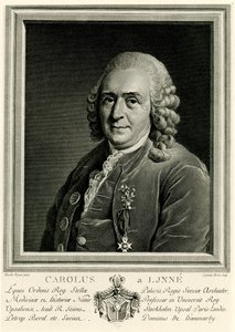 Karl von Linné