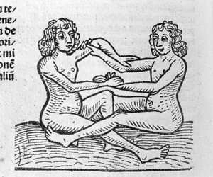 Die Zwillinge - in Traktat von Johannes Angeli De Magnisconnectionibue annorum revolutionibus ac eorum perfectionibus. Augsburg, Erhard Ratdolt