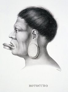 Einheimischer Mann des Botocudo-Stammes mit Gesichtsschmuck, aus Atlas einer Reise in Brasilien von Dr. von Spix und Dr. von Martius von German School