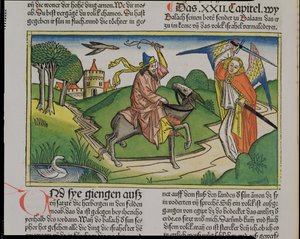 Numeri 22:20-35 Bileams sprechender Esel, aus der Nürnberger Bibel (Biblia Sacra Germanaica)