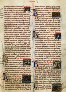 Seite aus De Natura Rerum über Vögel, von Albertus Magnus (ca. 1200-1280) von German School