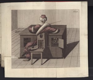 Tafel II aus Uber den Schachspieler des Herrn von Kempelen und dessen Nachbildung, Leipzig und Dresden: Joh. Gottl. Breitkopf, 1789