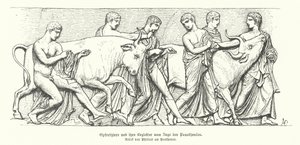 Opfertiere in der antiken griechischen Prozession der Panathenaia