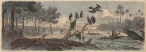Südamerika: Mündung in Guyana