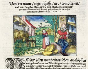Die heilenden und therapeutischen Anwendungen von Honig in der Medizin, Illustration aus einem deutschen Traktat über Medizin, veröffentlicht in Straßburg 1573 von German School