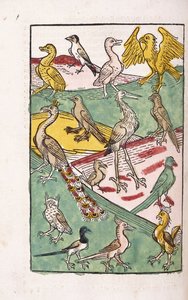 Verschiedene Vogelarten in einer Landschaft, 1499 von German School